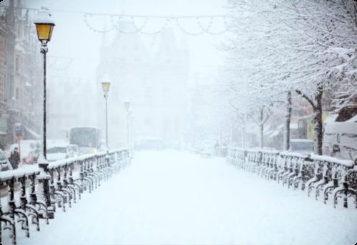 Latest company news about เริ่มต้นการเดินทางสู่ฤดูหนาวของคุณ: การต้อนรับหลี่ตง